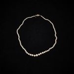 627809 Pearl necklace